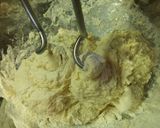 Vizes zsemle recept fázis 2 fotója
