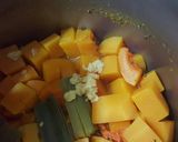 Foto del paso 10 de la receta: Sopa crema de calabaza y jengibre
