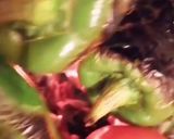 Une image de l'étape 2 de Sauce poivron rouge.