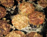 A picture of step 6 of Instant Chapli kabab.