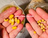 豆漿「優質蛋白質,乳糖不耐的最佳選擇」/Soy milk的食譜步驟1照片
