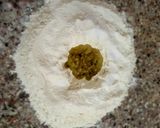 Foto del paso 1 de la receta: Tortas fritas!!
