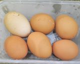 Foto langkah ke 1 dari resep Bihun Goreng Telur Wortel.