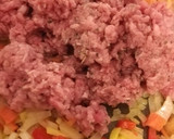 Foto del paso 4 de la receta: Lasaña de carne y quesos