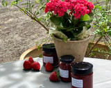 Foto del paso 10 de la receta: Mermelada de fresas con chía y canela, sin azúcar