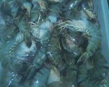 Foto langkah ke 1 dari resep UDANG asam manis.