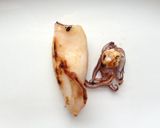 Foto del paso 6 de la receta: Pincho de calamar y pencas de acelga a la plancha