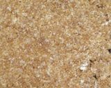 કોકોનટ ચીક્કી (Coconut Chikki Recipe In Gujarati) રેસીપી સ્ટેપ3ફોટો
