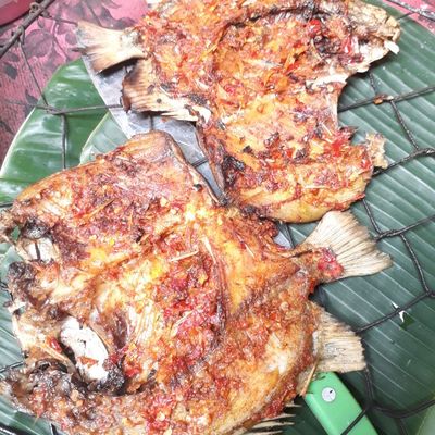 Langkah 6