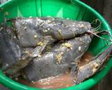 Fresh River Cat Fish in oil less Stew recipe step 1 photo