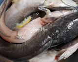 Foto langkah ke 1 dari resep Abon Ikan Lele.