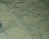 A picture of step 2 of #Sweet potato Golgola.