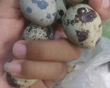 Foto langkah ke 1 dari resep Telur puyuh bumbu kecap.