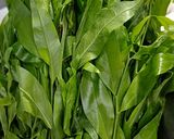 Hình bước làm 1 của món Canh rau sắng nấu tôm