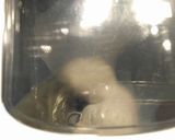 Foto del paso 3 de la receta: Pan integral con harina de espelta al 50%
