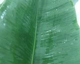 A picture of step 2 of Basa fish patrani.