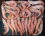 Foto del paso 3 de la receta: ~ Langostinos al horno ~