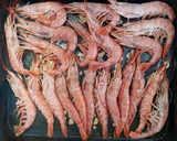Foto del paso 3 de la receta: ~ Langostinos al horno ~