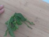 سلطة 🥗 الياغورت التركية🇹🇷