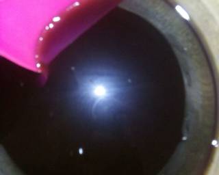 #Es cendol tape singkong - Step 4