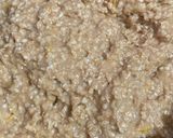 Foto del paso 3 de la receta: Galletitas de Limón y Avena