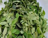 A picture of step 1 of Nutritious Moringa Parantha.