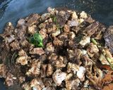 Foto langkah ke 2 dari resep Rawon (versi bersantan).