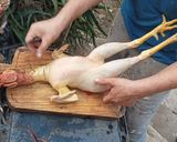 Foto del paso 2 de la receta: Mi mejor cazuela de Gallo Que viva la cocina chilena 🇨🇱 recetario 2023