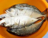 Foto langkah ke 1 dari resep Ikan Kembung Kuah Kuning.