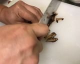 澎湖海鮮金瓜米粉的食譜步驟2照片
