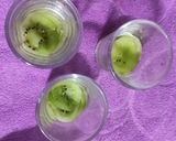 A picture of step 3 of Tricolor fruit cream.