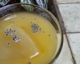 Foto langkah ke 4 dari resep Es jeruk soda gembira.