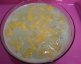 Foto langkah ke 4 dari resep Puding Melon Semangka 🍮🍈🍉.