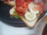 ચીઝ સેન્ડવીચ (Cheese Sandwich Recipe In Gujarati)