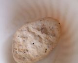 A picture of step 1 of Spicy Butter Naan.