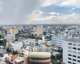 Hình bước làm 4 của món Rau câu milo sữa