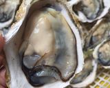 Hình bước làm 1 của món Hào rẻ-Nấu cháo ăn chơi