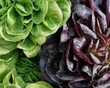 Une image de l'étape 1 de 🍋‍🟩Salade 🥬🫒estivale 🍉🍊.