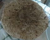 Foto del paso 2 de la receta: Pizza de macrolepiota prócera