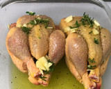 Foto del paso 1 de la receta: Picantones al horno con cítricos, ajo y tomillo