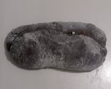 Foto langkah ke 15 dari resep Charcoal Wijen Chili Flakes Cheese Sourdough Bread (Open Bake Method).