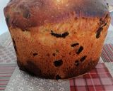 Foto del paso 8 de la receta 167. Panetone de pepitas de chocolate / Masa en panificadora