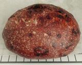 Foto langkah ke 19 dari resep Double Chocolate Sourdough Bread (86%).