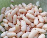Foto del paso 1 de la receta: Alubias blancas con coles de Bruselas especiadas