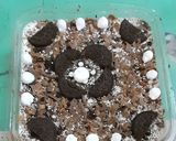 A picture of step 1 of Oreo cream pudding.
