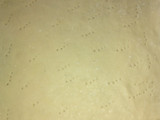 Pastafrola