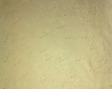 Foto del paso 3 de la receta: Pastafrola
