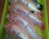 Foto langkah ke 1 dari resep Ikan Nila Saos Tiram.