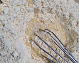 A picture of step 1 of Bread Pakoda.