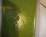 Foto langkah ke 6 dari resep Puding lumut vla keju.